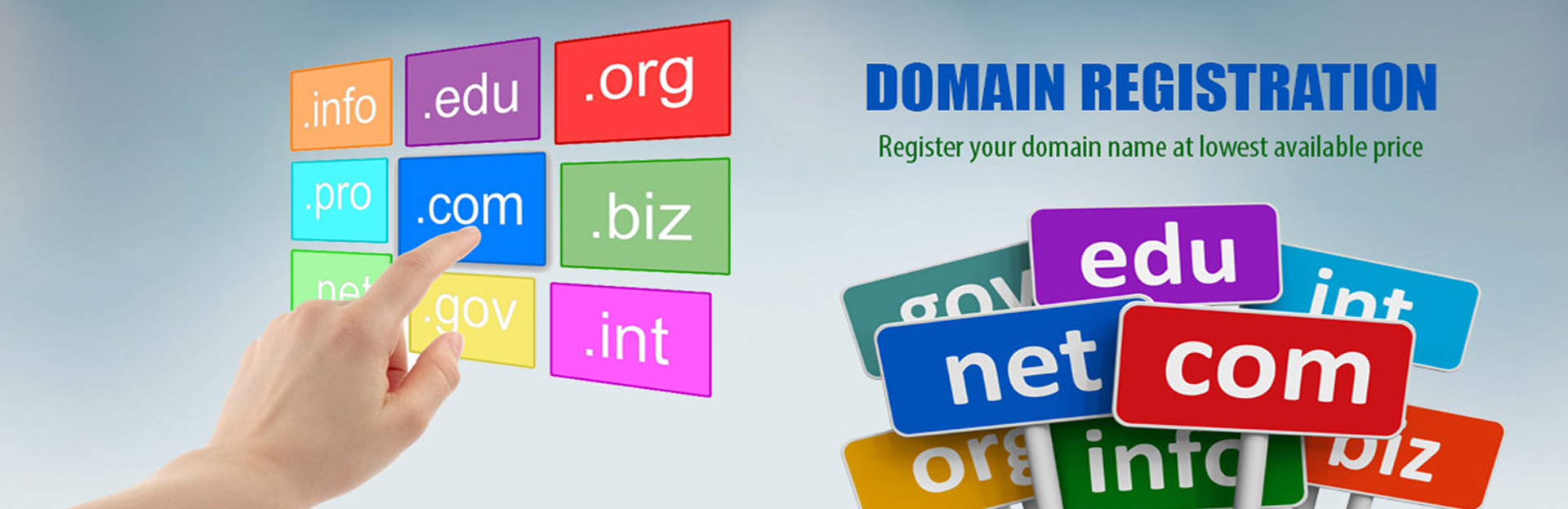 Website Development