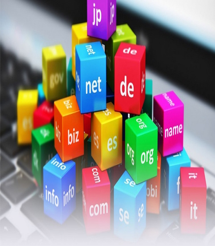 Domain Registration