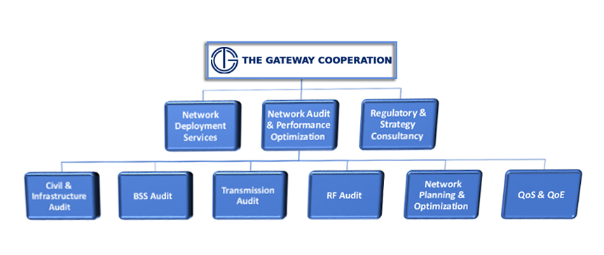 Network Audit and Performance Optimization