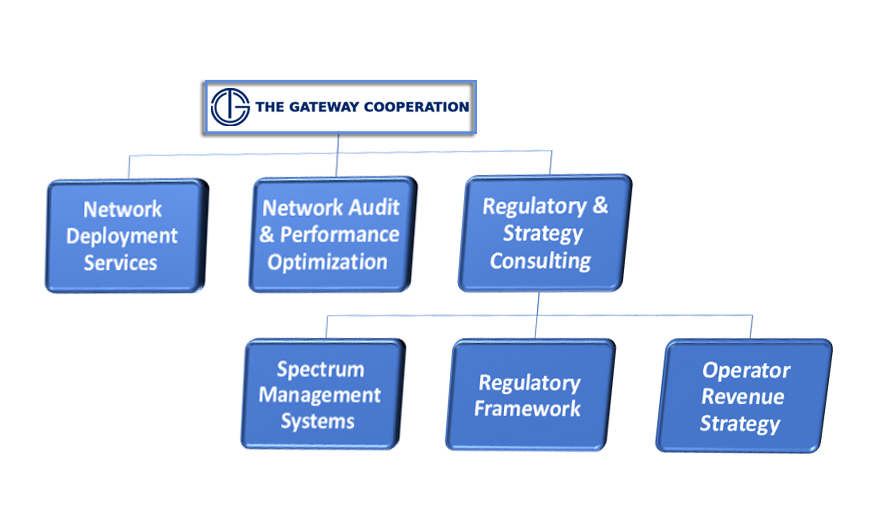 Regulatroy and Strategy Consulting Services